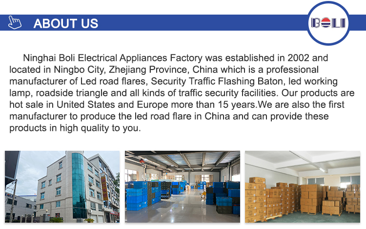 Company Profile Details