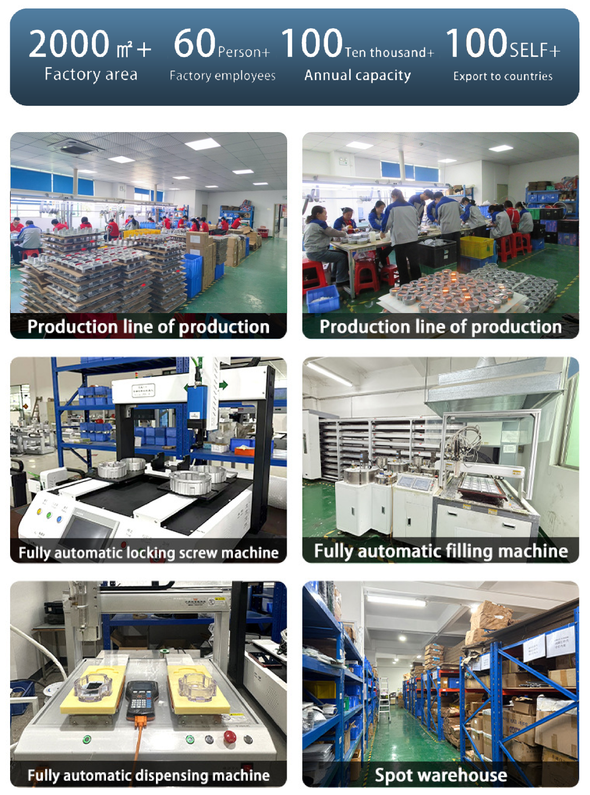 Production Workflow Overview