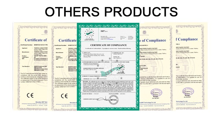 Certification Record 2