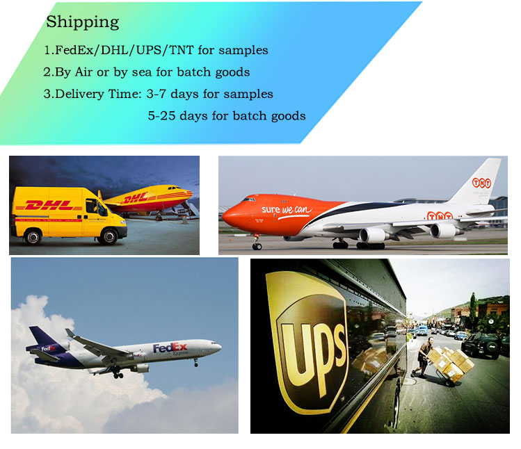 Delivery and Shipment Logistics